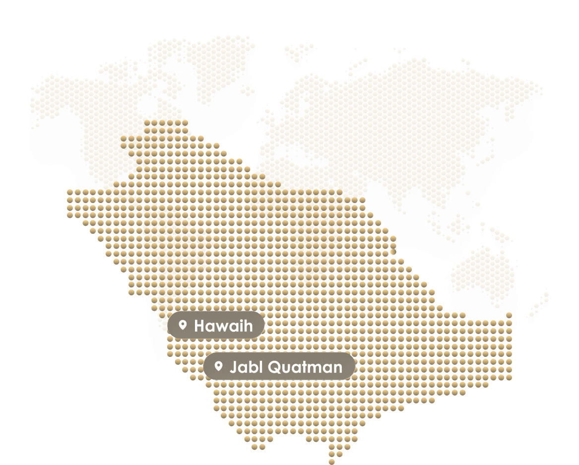 Our base of operations in Jeddah - Dark Mode